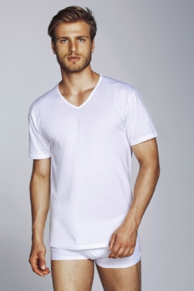BrioLingerie - CARL
